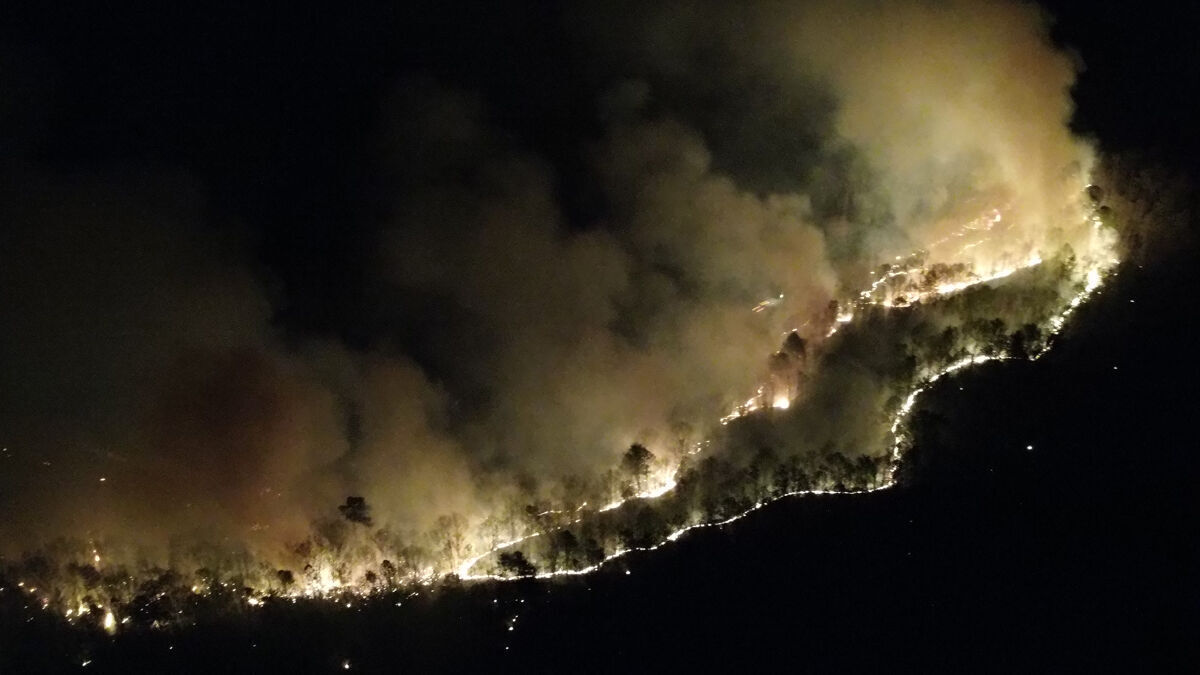 Latest National Wildfire Statistics